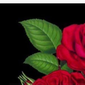 Meet your Posher, Sariah